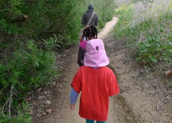 Downtown Briefs November 2014