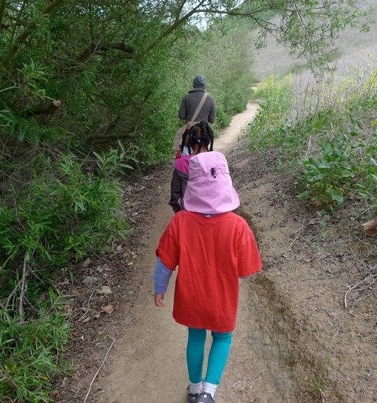 Regents Road flap is recast amid council study vote