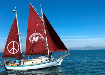 Broken Yolk celebrates 40 years of eggcellent food and service