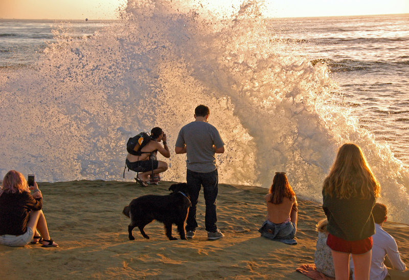 Community briefs for Ocean Beach and Point Loma