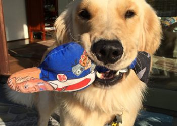 50 years of memories at Valley View Casino Center