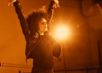 Disabled vet pleads guilty in vehicular death