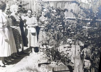 Mean Green Team of volunteers brings life to Point Loma