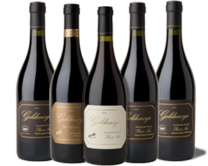 A journey through vivid panoramic landscapes