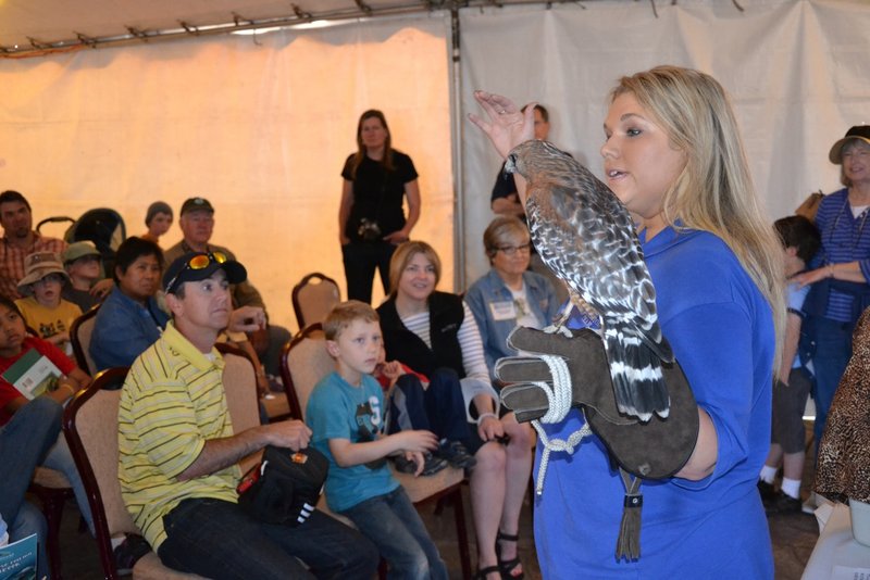 Winging it — SD Bird Festival: the Super Bowl of ornithology
