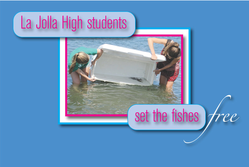 La Jolla High students set the fishes free
