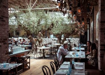 Straight from the farm: La Jolla's fall harvest reaps funds for elementary school