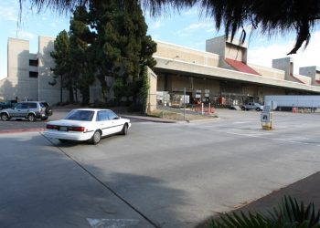 Dog Beach Design works to brand OB