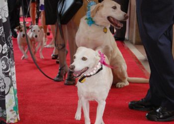 Beach and Bay Press calendar