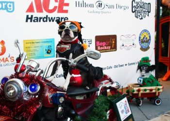 Fire erupts in RV, homeless owner injured