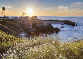 Learn to Attract Private Money at the La Jolla Real Estate Investor, Finance & Tech Expo