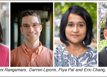 SeaWorld to hold fireworks on Saturdays throughout summer