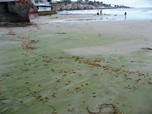 Taste of the Triangle will flavor the spring