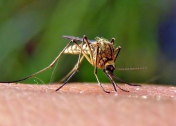 Tax file recycling week set at Miramar center