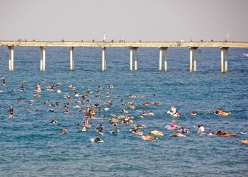 Campbell defeats Zapf in hotly contested District 2 race