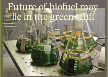 The Bishop’s School opens with a bang