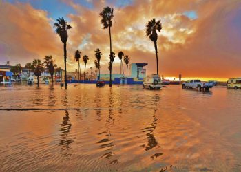 Midway visitor given 17 years in taxi driver's Old Town death