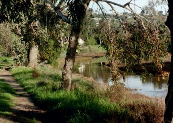 Near-drowning victim thankful lifeguards don’t take holidays off