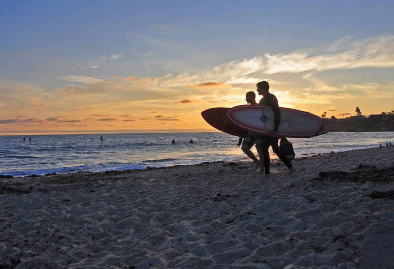 Environmental oversight crucial to beach restoration