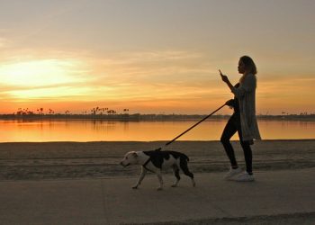 One pedestrian killed, one seriously injured in one week