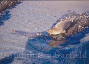 Surfing community loses one of its own