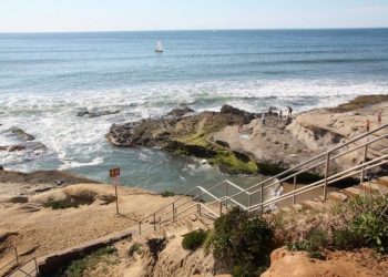 Artist Lei Tang's 'Conducting a Symphony'