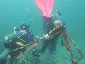 Divers probe ocean depths to fish out abandoned ‘ghost netting’
