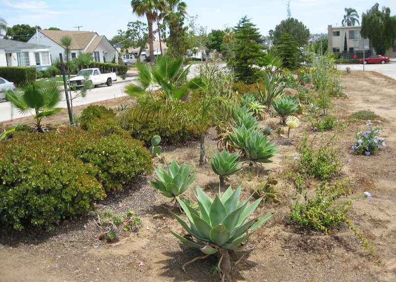 Seeds being planted for community garden spots across PB