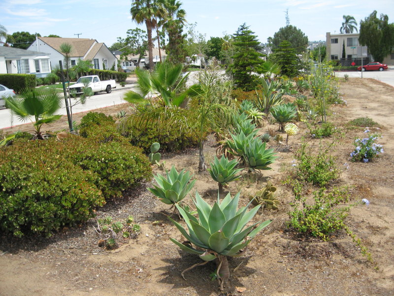 Seeds being planted for community garden spots across PB
