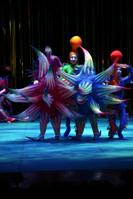 Cirque du Soleil's Varekai set to take over Valley View Feb. 25