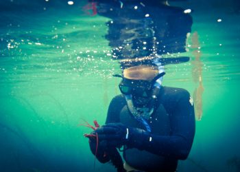 Thankful for generosity