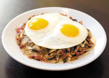 Minis frolic on Fiesta Island; Southern Cal Mini Horse Sanctuary rescues and rehabs mini horses