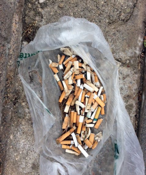 City should install cigarette butt receptacles along Sunset Cliffs