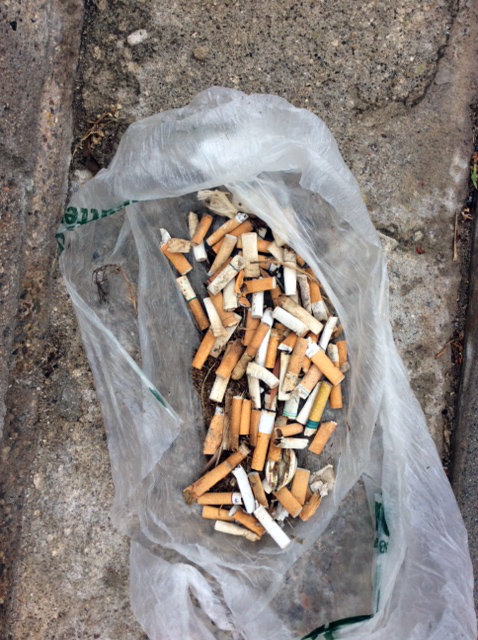 City should install cigarette butt receptacles along Sunset Cliffs