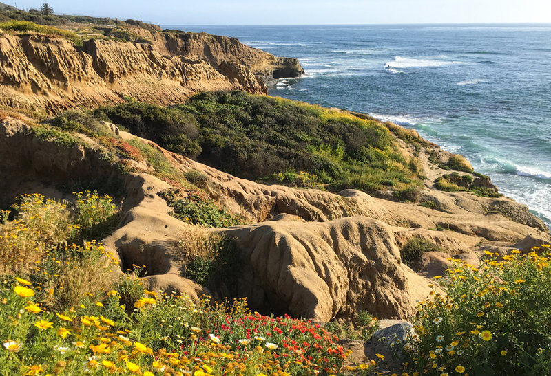 News and community briefs for Ocean Beach and Point Loma