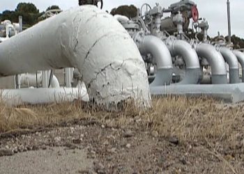 Noted wildlife photographer has seen it all; now you can too