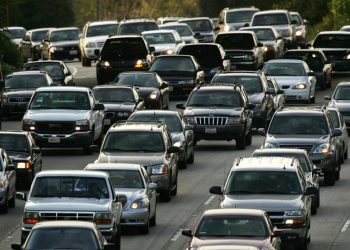 Noted wildlife photographer has seen it all; now you can too