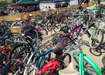 Bucs softball and baseball make final playoff pushes