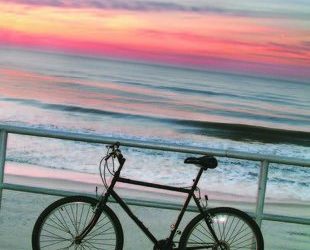 Boys baseball: Torreys baffle Bishop’s