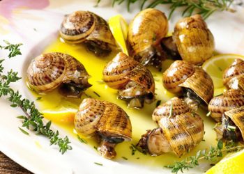 Hats, haute, and horses at Del Mar's Opening Day