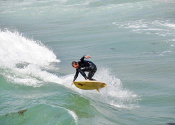 SD Parrot Head Club party fundraiser at Campland by the Bay