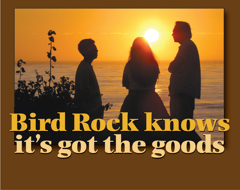 Annual picnic provides a time for reflection on the best parts of calling Bird Rock home