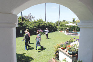 Walkers hoof it to support kidney cause