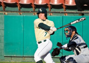 Reflections on the past: an artist’s perspective