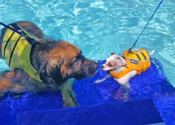 Superheroes and prose: Poet Gary Jackson to read at DG Wills