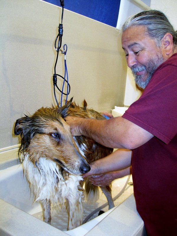 No bones about it: Dog Beach Dog Wash is definitely pooch heaven