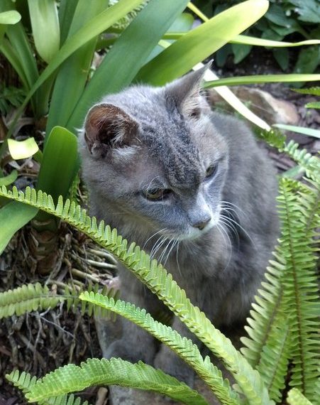 For two beloved family members, blooming means rebirth