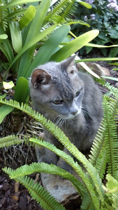 For two beloved family members, blooming means rebirth