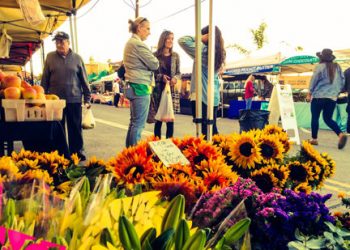 InTents Conference to help groups grow farmers market businesses