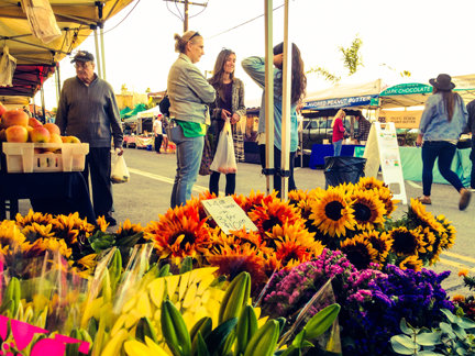 InTents Conference to help groups grow farmers market businesses